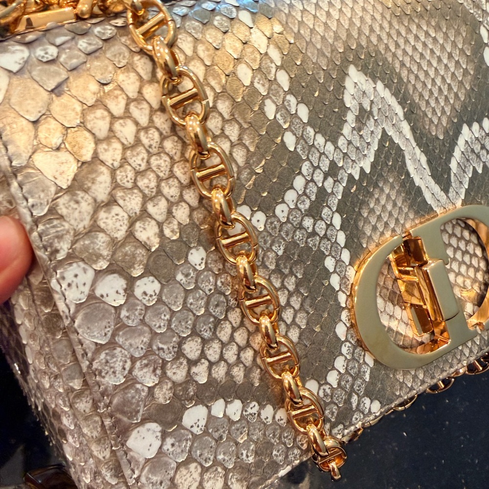 Dior Beige And Gold Python Pattern Bag - image 3